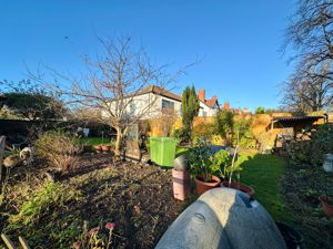 Photo 41- click for photo gallery